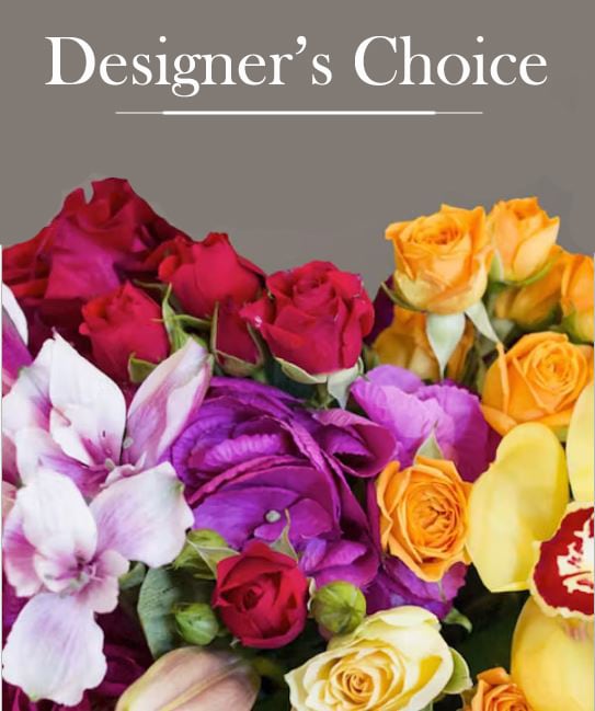 designer choice